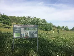 Brembacherweinberge