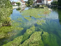 Brenz Bei Hermaringen Panoramio