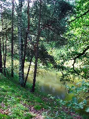 Brenzer Kanal 2