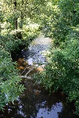 Brokstedt, Brokstedter Au Direkt Nach Dem Zusammenfluss Unter Den Bahngleisen Nik 7826