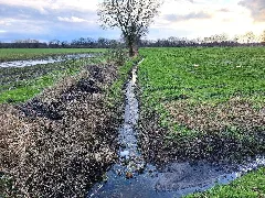 Bruch Seegengraben (Walle)
