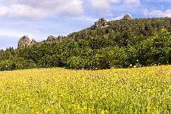 Bruchhauser Steine (14135176487)