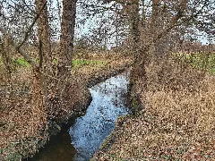 Bruchwiesenbach (Wiedau)