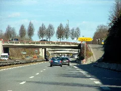 Brückenbäume Panoramio
