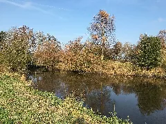 Brügg Över Den Hosterbeek Bi Burweg 02
