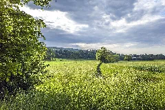 Brühlgraben Nördlich Von Birnfeld