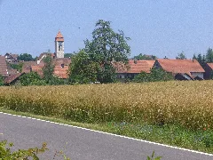 Brütteni