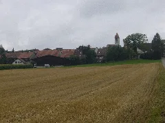 Brütteniii