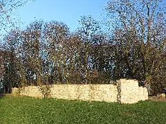 Bs Nussberg Rednerkanzel