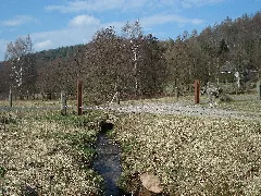 Büchelbach