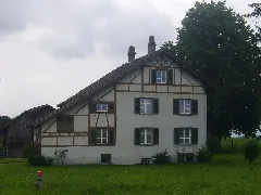 Büchlii