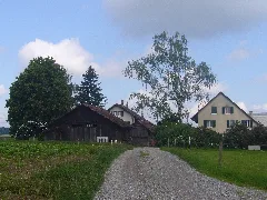 Büchliii