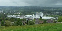 Bühlerareal