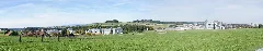 Bümpliz Oberbottigen Panorama 01