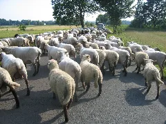 Bünde, Bruchmühlen, Kilver Juni 2009 038