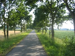 Bünde, Bruchmühlen, Kilver Juni 2009 039