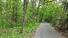 Bürgerbusch1