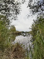 Bürmoos Bürmooser See Ansicht 2020 10 02 1