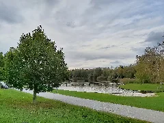 Bürmoos Bürmooser See Ansicht 2020 10 02 5
