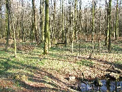 Bunker (^) Panoramio Drahtfunker