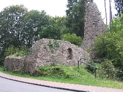 Burg Alt Urach 4183