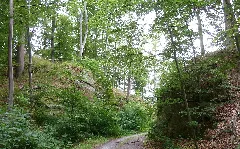 Burg Bodenhausen Felsgraben