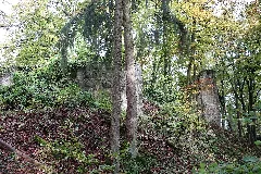 Burg Ehrenfels 003