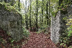 Burg Ehrenfels 005