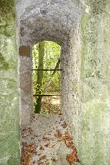 Burg Ehrenfels 008