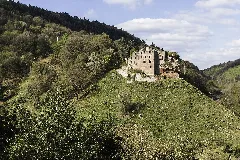 Burg Frankenstein(Pfalz) 0420
