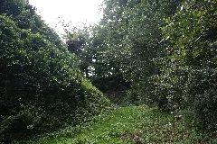 Burg Freienstein04