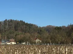Burg Hohenfels (Hohenfels) 06