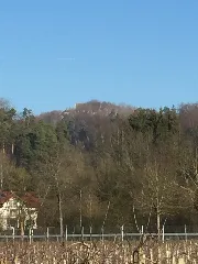 Burg Hohenfels (Hohenfels) 07
