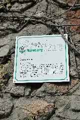 Burg Hornberg (Tafel)