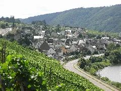 Burg Mosel