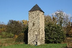 Burg Mühlenbach Koblenz 2011