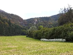 Burg Peggau Fern 2