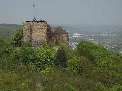 Burg Rheineck Reuterslei