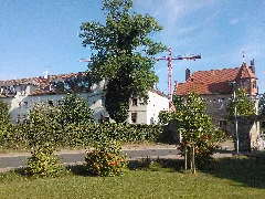Burganlage Dieburg Albinischloss