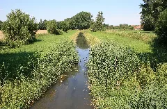 Burgdorfer Aue Steinwedel