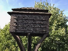 Burgruine Elsterberg 11