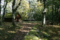 Burgruine Schnellerts01