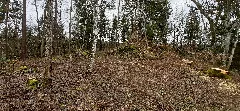 Burgruine Wasserburg Eigeltingen Honstetten Wasserburgerhof 006