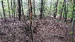 Burgstall Burgbuckel Hettigenbeuern (Bch) 2