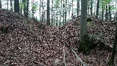 Burgstall Burgbuckel Hettigenbeuern (Bch) 3