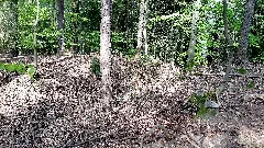 Burgstall Burgbuckel Hettigenbeuern (Bch)