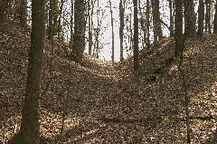 Burgstall Fürstenau (02)