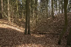 Burgstall Fürstenau (03)