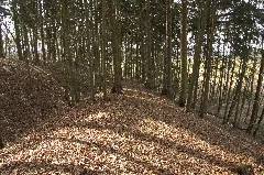 Burgstall Fürstenau (04)