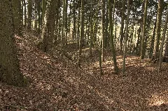 Burgstall Fürstenau (05)